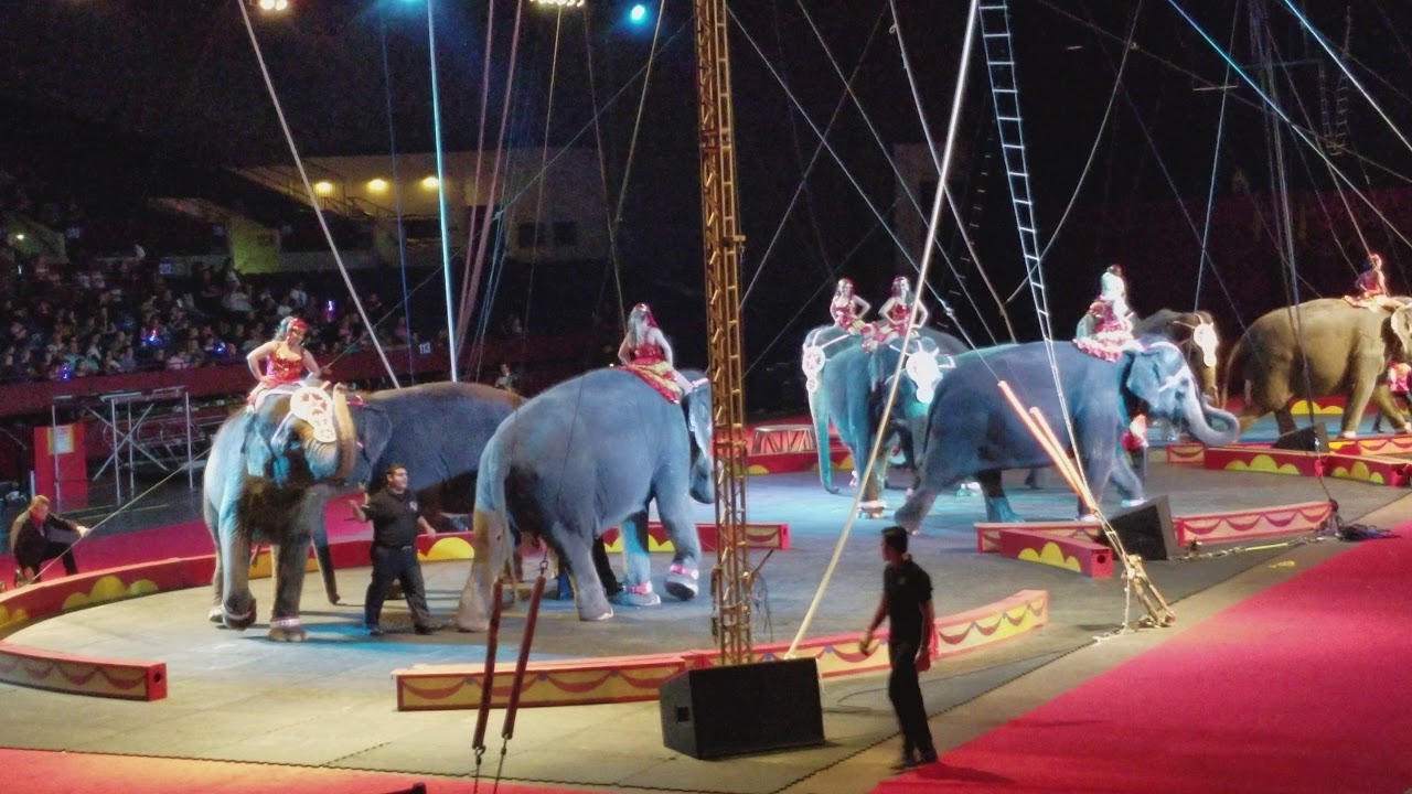 Shrine circus forward Texas 2017(19) YouTube