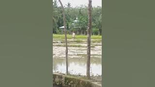 indahnya jadi petani