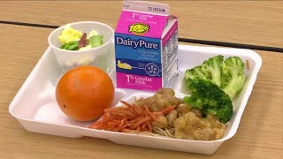 Lunch programs to help students during break
