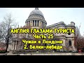 Англия глазами туриста часть 25.                        Чужак в Лондоне 2. Белки-лебеди