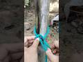 I believe! This strategy knots is treated precious #Knot