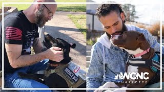 Pit bulls slated for euthanasia are given new lives with veterans
