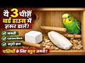 कम बजट में बर्ड हाउस कैसे तैयार करें | पिंजरे में क्या-क्या लगाएँ |#BirdCage #केजकैसेबनाएं