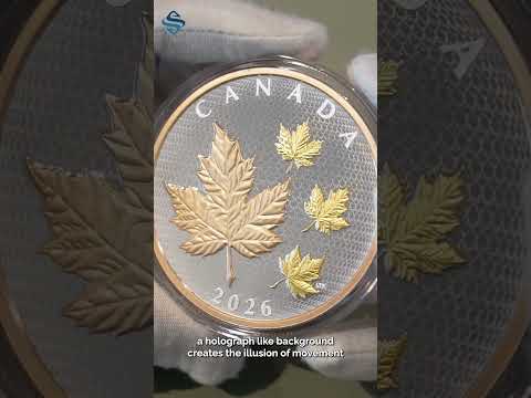 🍁 2026 5 oz Maple Leaves in Motion Collectible Silver Coin #shorts