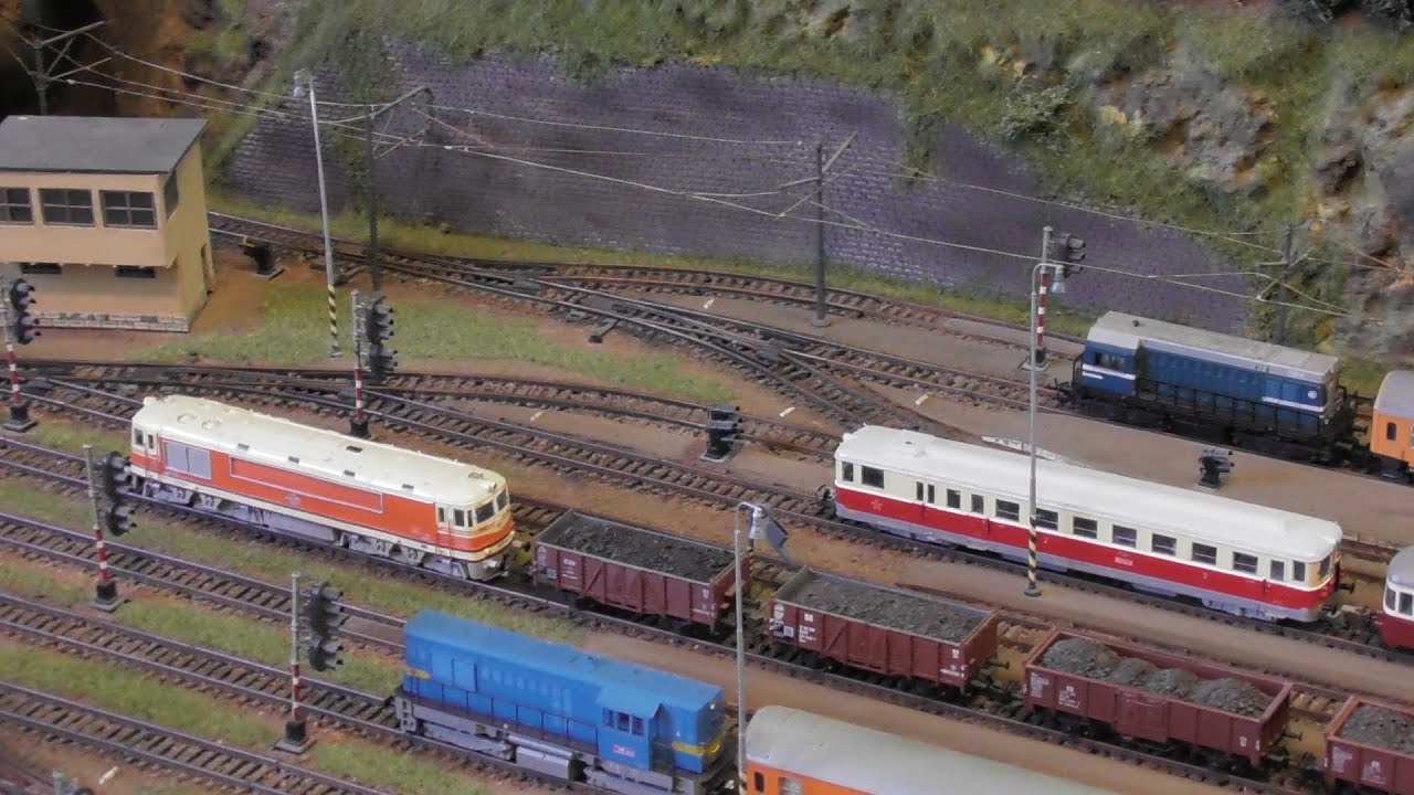 PODZIMNÍ VÝSTAVA KŽM ČESKÉ BUDĚJOVICE