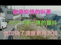 #出軌 #分享 #外遇 #夫妻生活 #婚外情 #情感 #情感共鸣 #情感秘密 #感情 #故事 #倫理 #兩性
