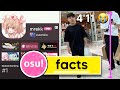 Fun facts about every top 100 osu player