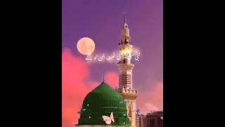 Agar Tum Gour Se Mere Nabi Ki Naat Sun Loge#haragumbad #madinah #whatsappstatus #muhammad🌿🌴