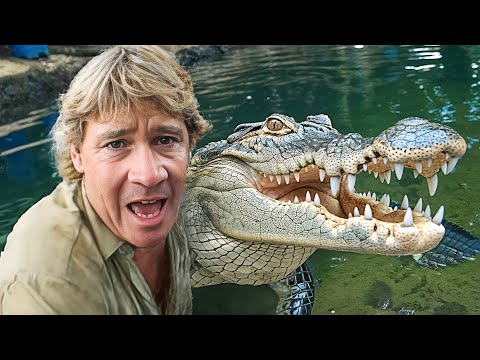 The Real Reason Behind The Crocodile Hunter's Death