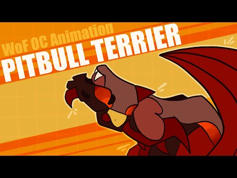 ‼️ PITBULL TERRIER // Wings of Fire OC Animation Meme ‼️