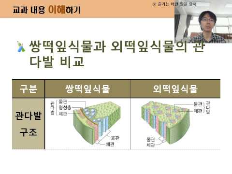 4 2 2 2 쌍떡잎식물과 외떡잎식물 관다발 구조