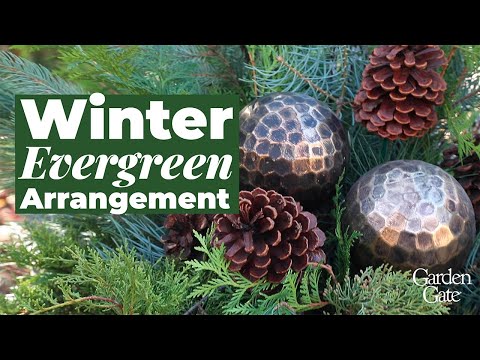 🌲 Winter Evergreen Arrangement 🌲