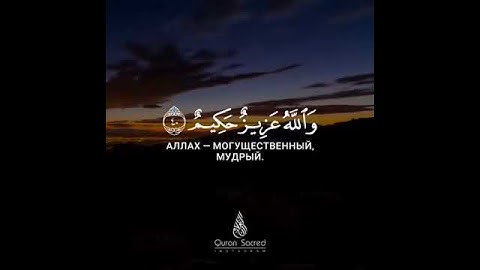 إِلَّا تَنصُرُوهُ فَقَدْ نَصَرَهُ اللَّهُ سورة التوبة الاية40 || القارئ ناصر القطامي