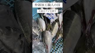 仲卸流｜鯵・アジの卸し・開き方｜豊洲市場仲卸・加工職人の技｜#shorts