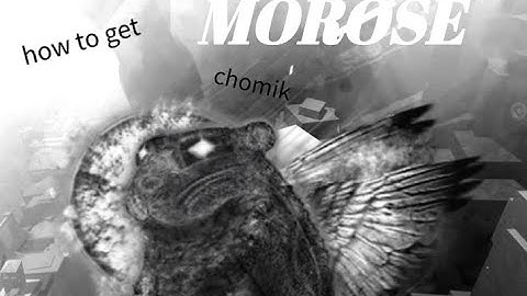 How to get Morose Chomik in Find the Chomiks [NEW] (21 sub special!)
