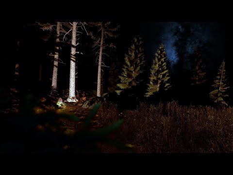 Видео: ОТДЫХАЮ В ЛЕСУ | DAYZ