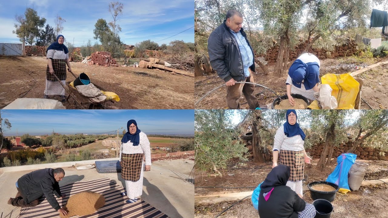 هاانتوما اكرام تعلمت تغسل زرع 🤗  وام ربيعة عاودتلكم شنو داز عليهم ف ايامهم 🥲 عيشو معنا نهارنا💁