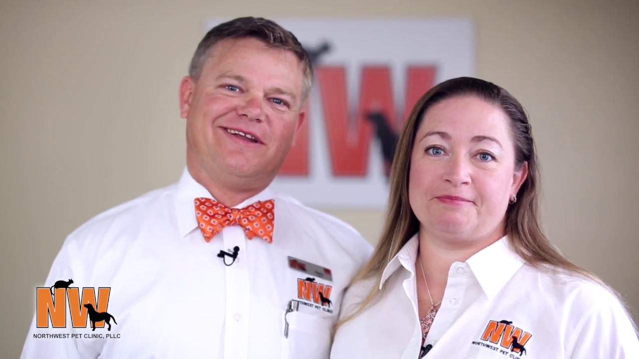 Welcome to Northwest Pet Clinic