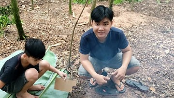 Cá lóc đồng nướng chui -Thiện Hiếu vlog