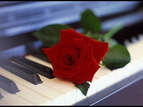 Παρακολούθηση Beethoven - Piano Concerto No. 1 In C Major, Op. 15 - I. Allegro Con Brio στο YouTube