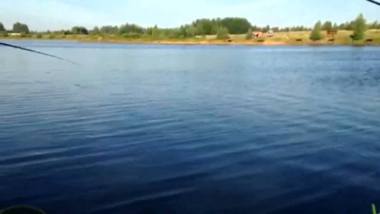 Озеро Синец в Рязанской области: информация, фото, маршруты