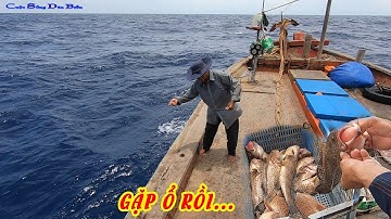 CÂU CÁ BIỂN TRƯỜNG SA 2│GẶP TRÚNG Ổ CÁ MÚ,ANH EM KÉO ĐÃ TAY│Cuộc Sống Dân Biển.