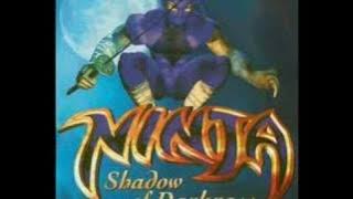 Ninja Shadow of Darkness Soundtrack {Level1}