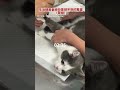 【神來一腳】奴才練習熱蠟除毛 超皮喵「神來一腳」結局悲劇｜貓｜熱蠟除毛