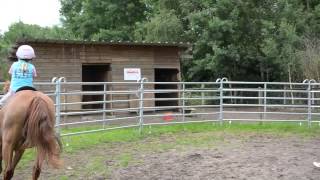 Silke In Galop Op Vzw Amano