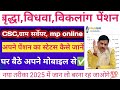 वृद्धा, विधवा, विकलांग पेंशन कैसे देखे 2025🔥| how to check status of pension 2025✅
