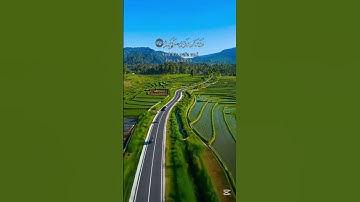 يوم يفر المرء من أخيه | تلاوة مرعبة تصف مشهد القيامة تهز القلوب#تلاوة_تهز_القلوب #Quran #SurahAbasa