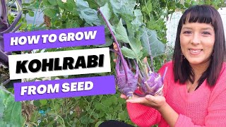 The Ultimate Kohlrabi Growing Guide: From Seed To Harvest #kohlrabi #garden #vegetablegarden #plants