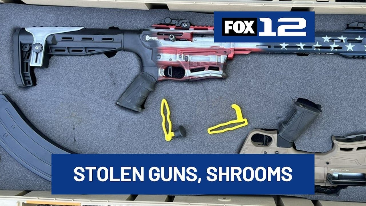 Homeless man arrested with stolen guns, psychedelic mushrooms after ...