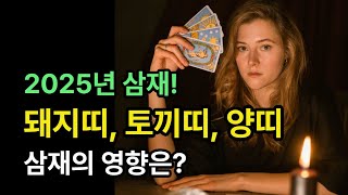 2025년 삼재!  돼지띠, 토끼띠, 양띠!  삼재의 영향은?