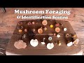 Mushroom Foraging & Identification Session