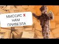 Распаковка посылок / Обзор того что есть на базе Z