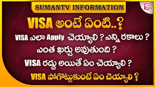 What is VISA ? | How to Apply Visa in Telugu | Types of Visa | Visa Interview 2022 | SumanTV Info screenshot 1