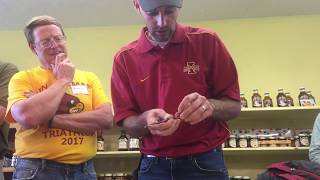 Chip Budding Demonstration