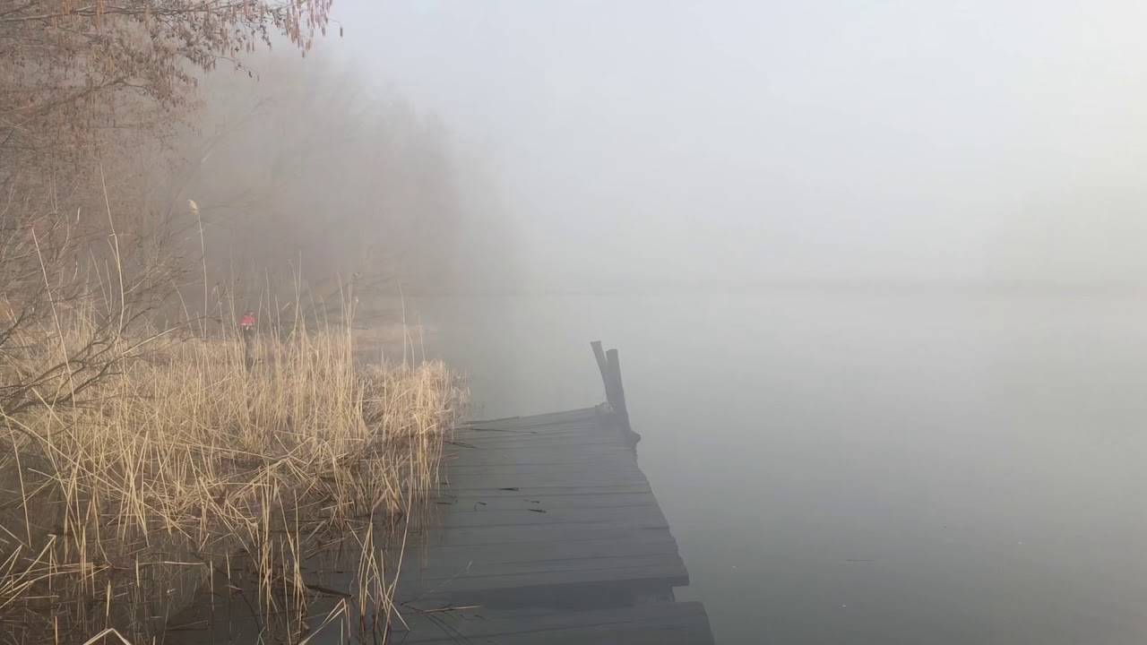 Пелена воды