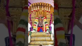 Sriperumbudur Swami Ramanujar Thiruavathara Utsavam Day 8 #sriperumbudur #ramanujar #2025