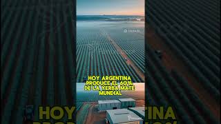 Por qué Paraguay perdió el control de su propio producto | Curiosidades históricas