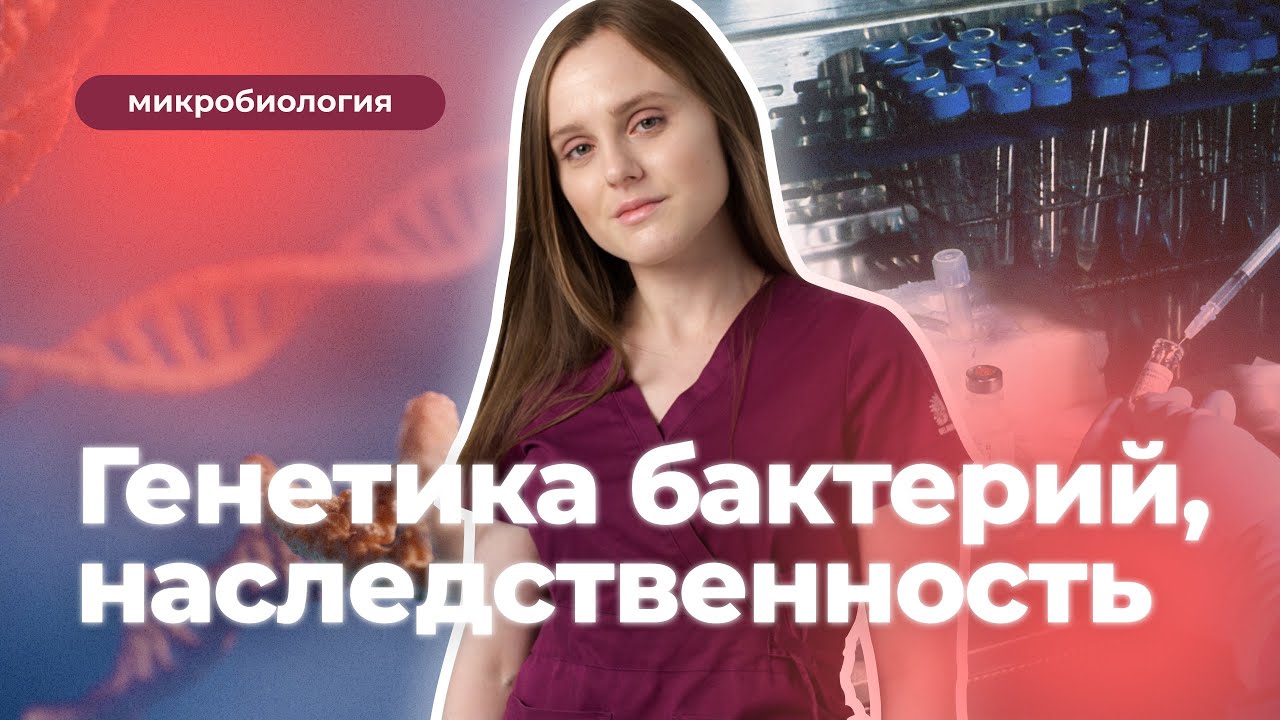 Генетика бактерий, наследственность и изменчивость | Микробиология (плазмиды, ДНК, нуклеоид)