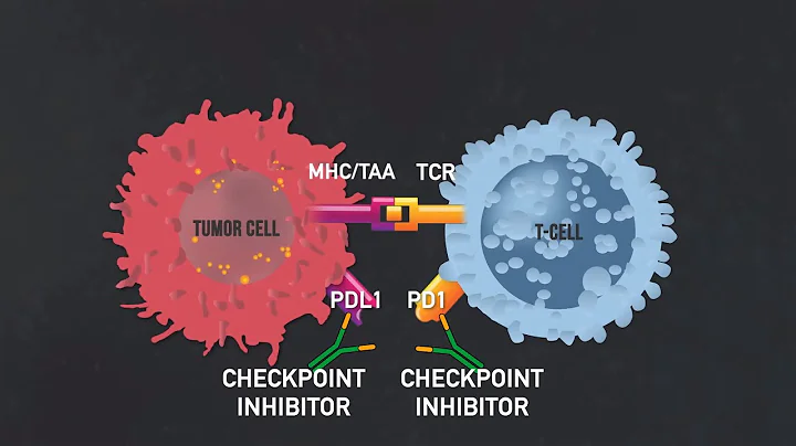 Introduction to Immunotherapy (Immunotherapy Documentary Part I) - DayDayNews