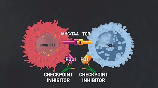 Introduction to Immunotherapy (Immunotherapy Documentary Part I)