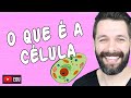 O QUE É A CÉLULA | Biologia com Samuel Cunha