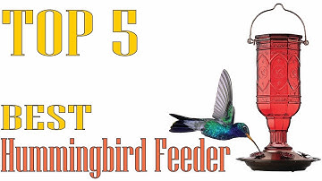 5 BEST Hummingbird Feeders for HOT Weather! (Buying Guide 2022)
