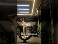 Day 10: Leg Power &amp; Shoulder Strength  #gym #gymworkout #vlogs #day10 #decipline