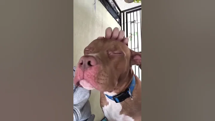 Gets you right in the feels.