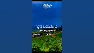 قران_كريم تلاوة تفوق الوصف بصوت تخشع له القلوب #قران_كريم #قرآن #elmulquranعلم #المصحف #trend