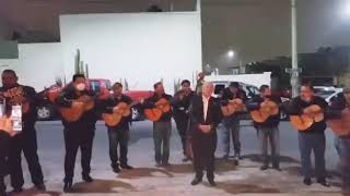 Miniatura de vídeo de "Hasta donde te quiero - Serenata Desde Saltillo La Rondalla con la voz de Marco Antonio Aguirre"